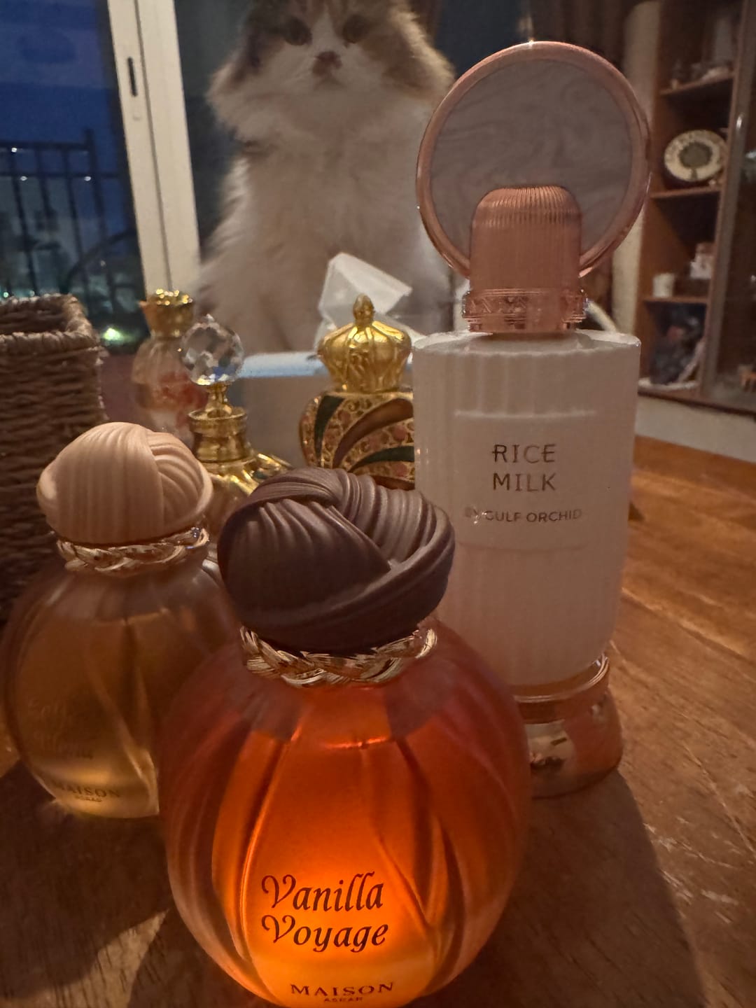 Customer photo review of VANILLA VOYAGE