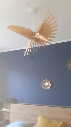 Customer photo review of Albatros teinté Chêne | Suspension