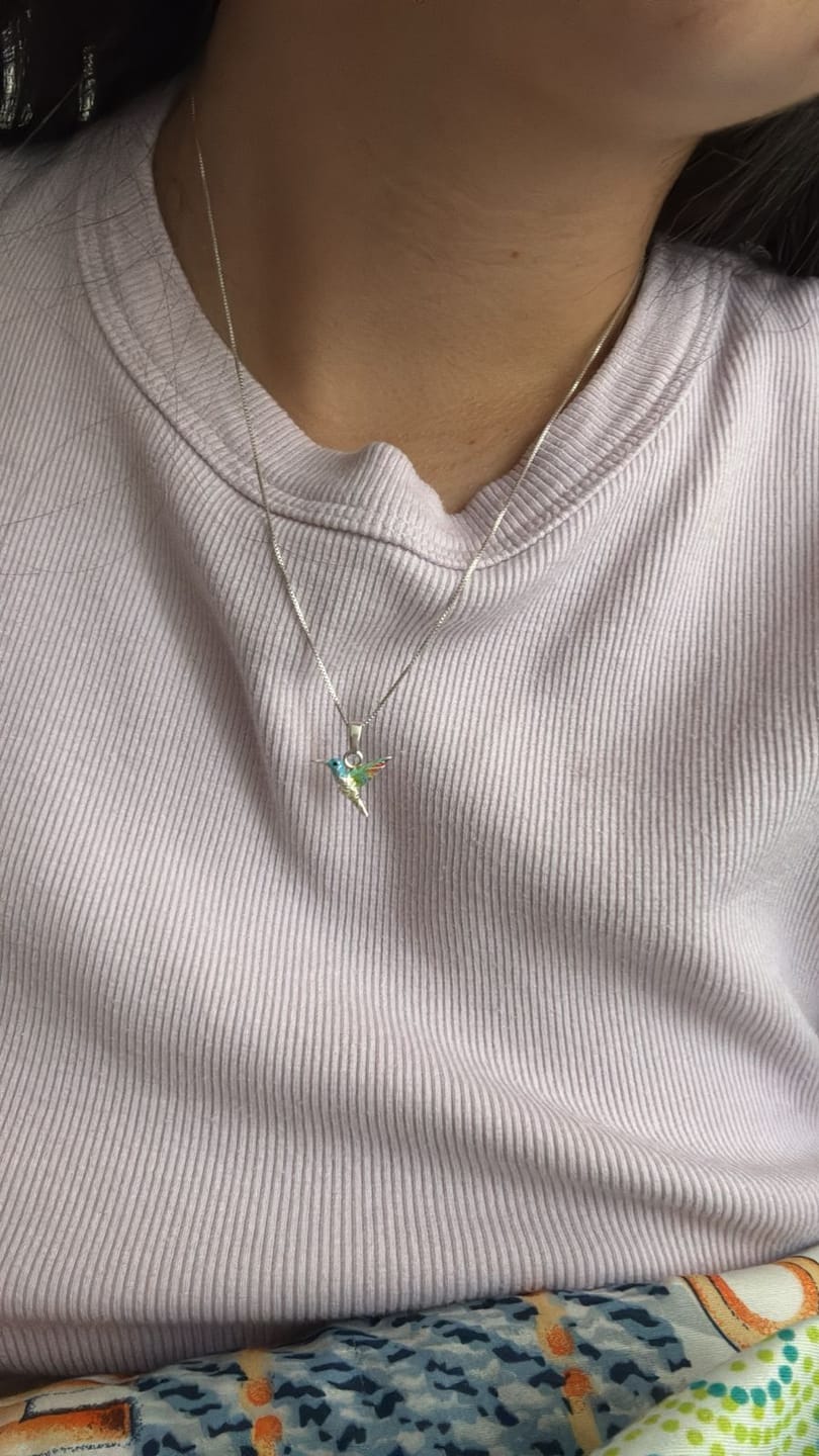 Customer photo review of Collar Colibrí en Plata 925