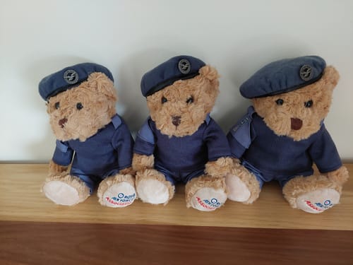 Customer photo review of Royal Air Force Cadet Bear