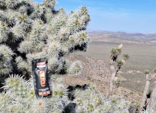 Customer's Tangerine SuperCharged Honey packet resting on a spiky cactus plant during a hike in a desert park.