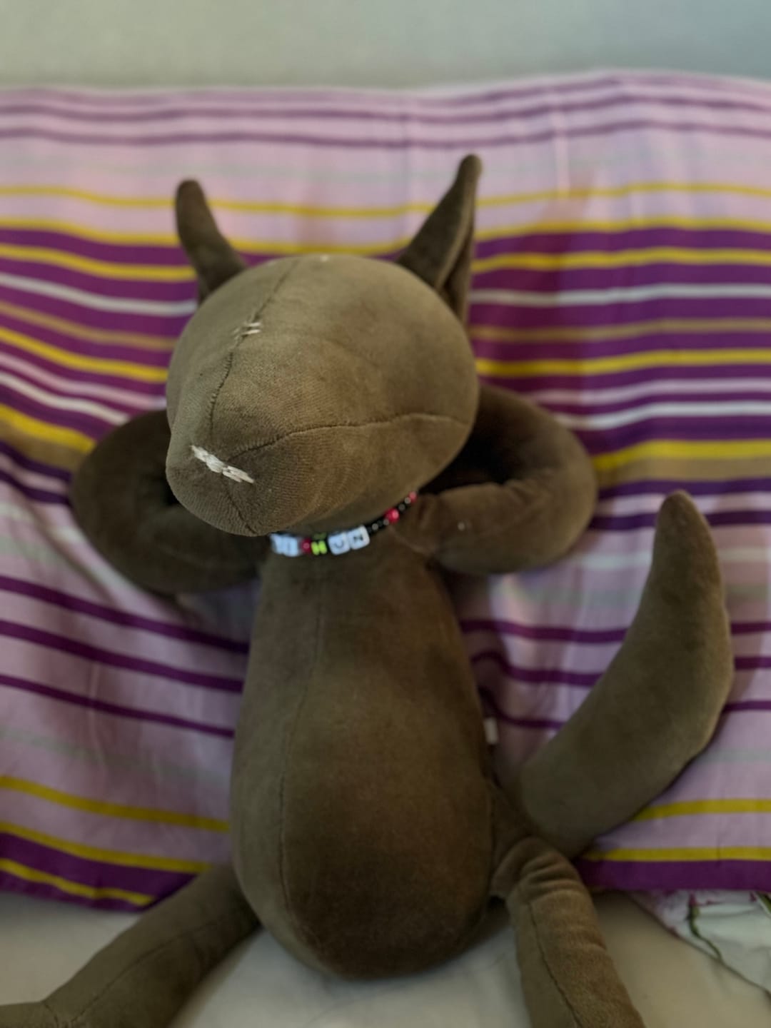 Customer photo review of PIOTR LE LOUP - L
