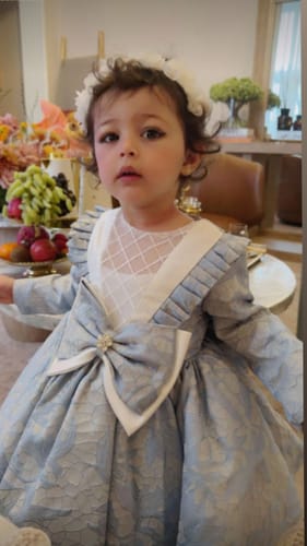 Customer photo review of Baby Girl Princess Dress Girl Blue Long Sleeve Bow Knot Fluffy Formal Dresses