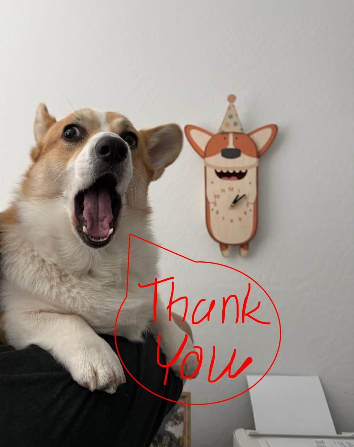Customer photo review of Butters the Corgi Pendulum Clock