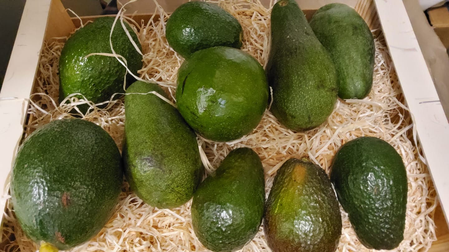 Customer photo review of Avocado-Mix von Julian 3kg Box Aktionspreis %
