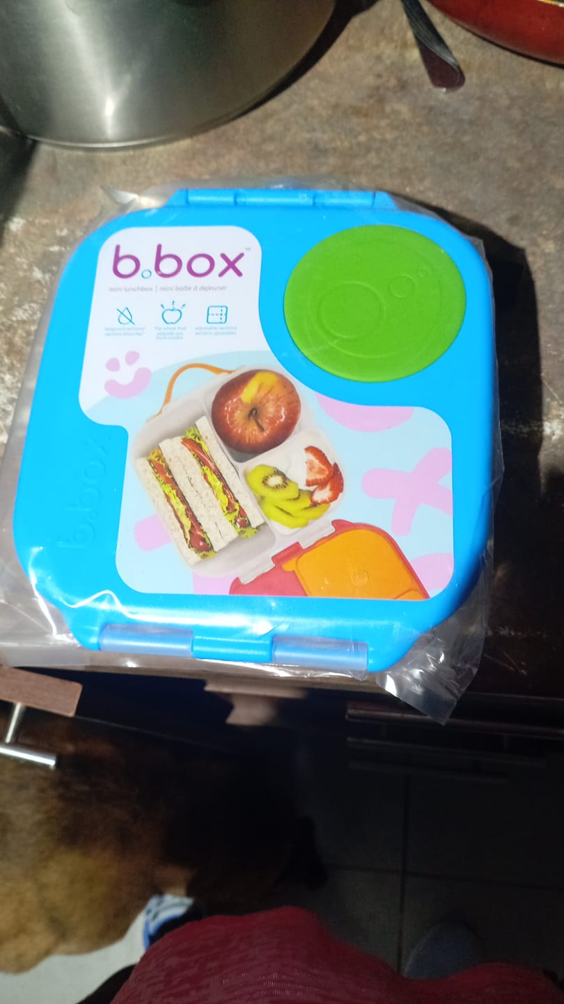 Customer photo review of Mini Lonchera b.box