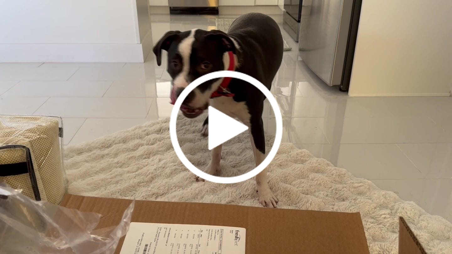 Customer video review of Crunchy Ostrich Trachea Cuts: The Airy, All-Natural Treat for Small to Medium Dogs