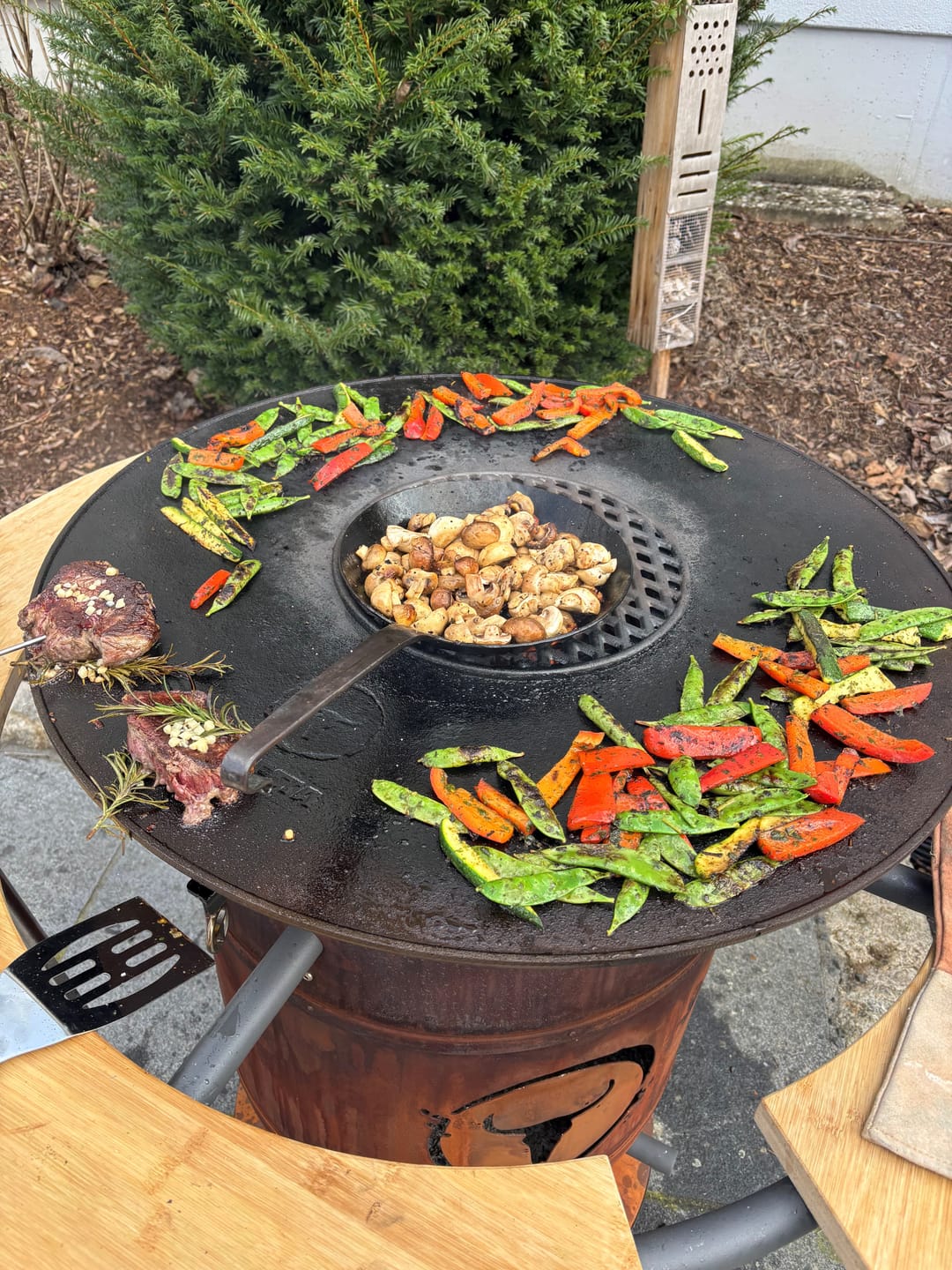Customer photo review of Sizzle Rost – Gusseisen-Rost für BBQ Disk
