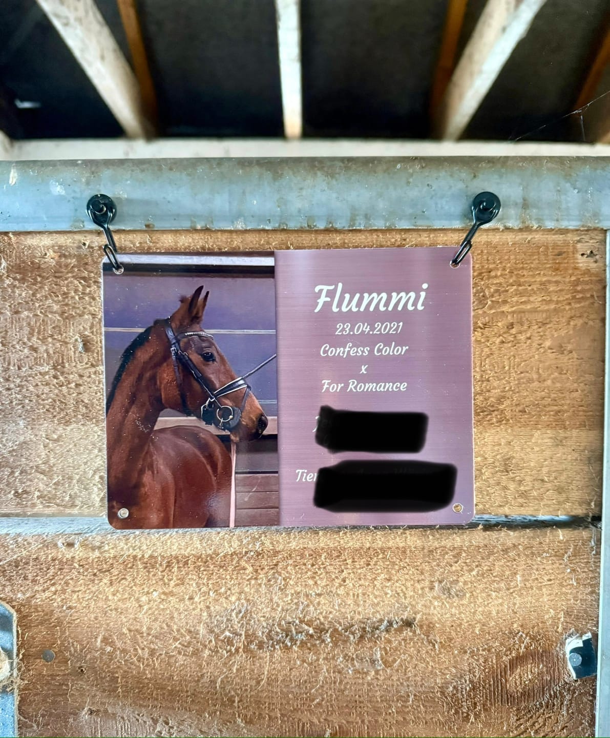 Customer photo review of Pferde Boxenschild mit Foto & Wunschtext (UV- und wetterfest)