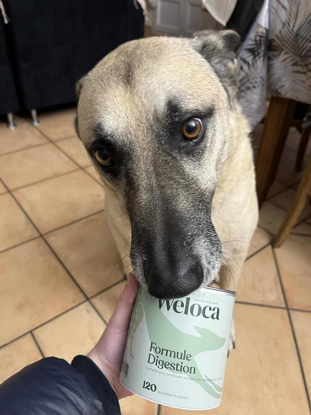 Customer photo review of Complément digestion