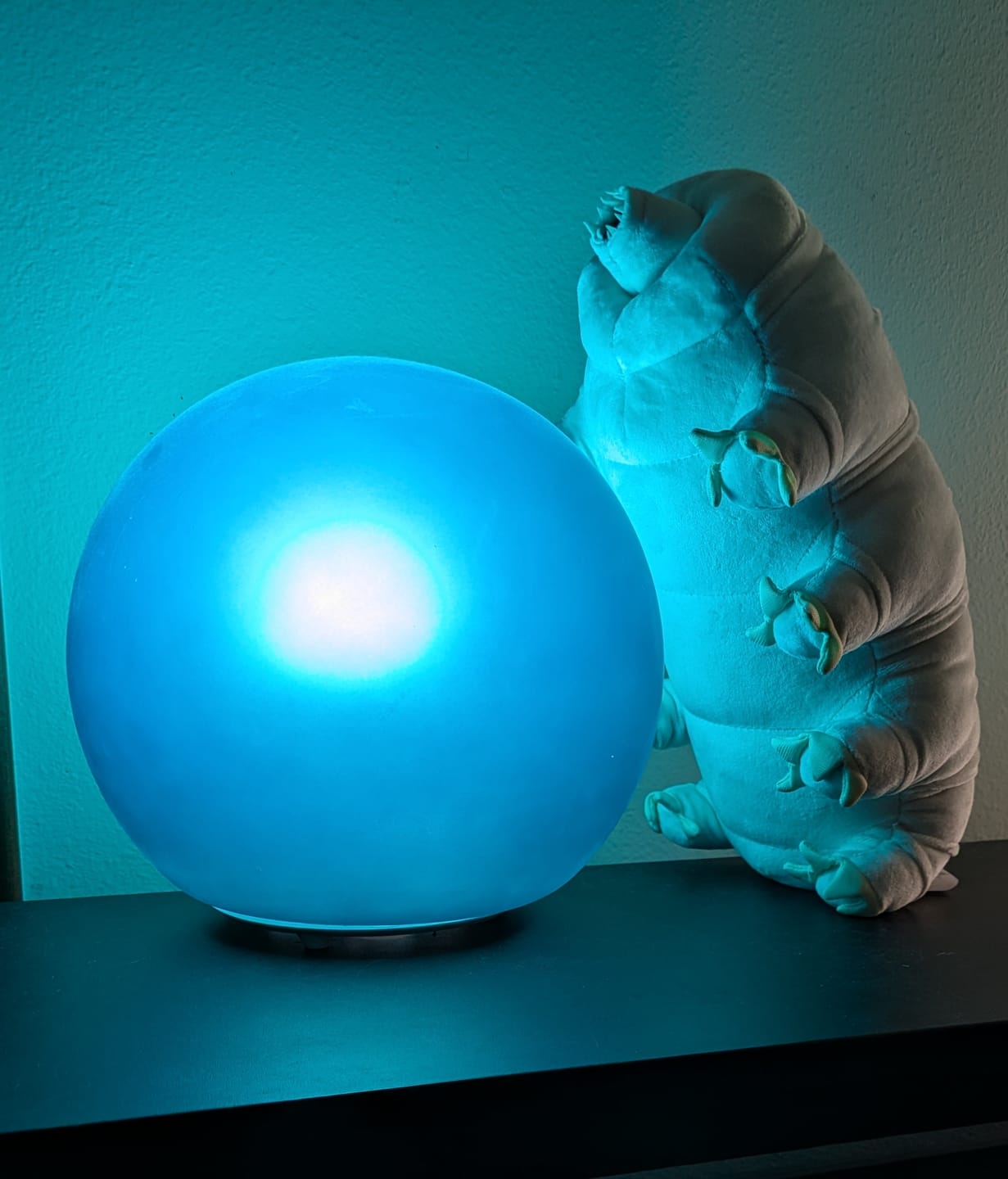 Customer photo review of Tardigrade Water Bear Soft Stuffed Plush Toy