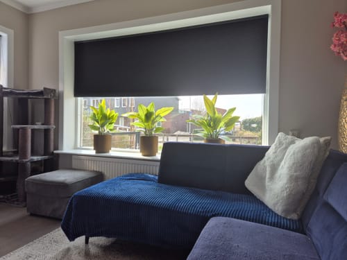 Customer photo review of Strelitzia Kunstplant 70cm