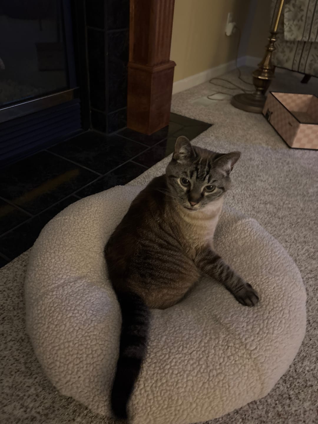 Customer photo review of Marshmallow Pudding Bed