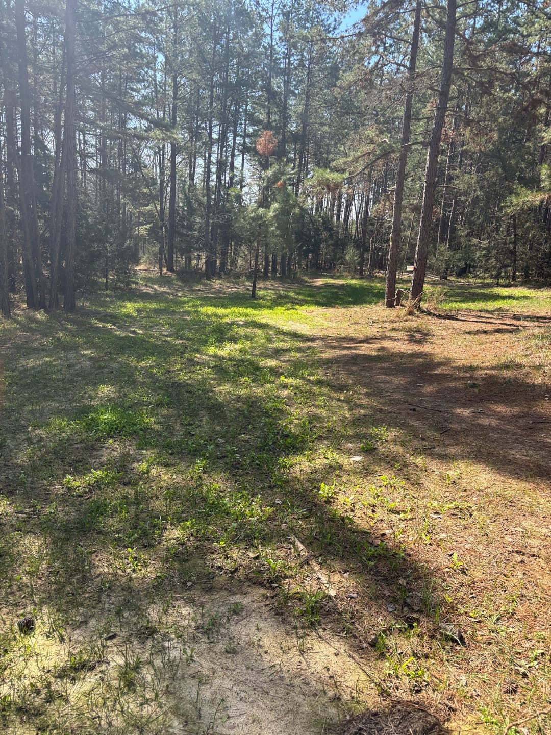 Customer photo review of No Till No Problem