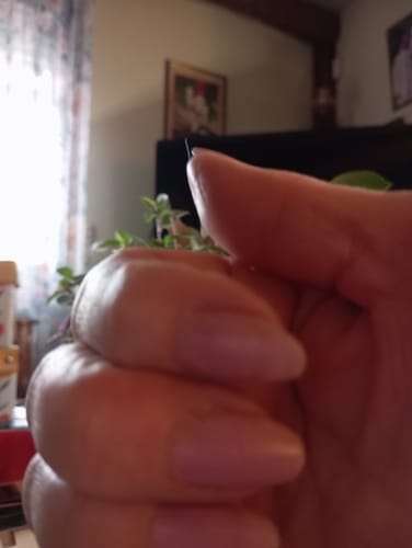 Customer photo review of Vernis Classique Green Reactive Vegan Barbarella Didier Lab 10ml