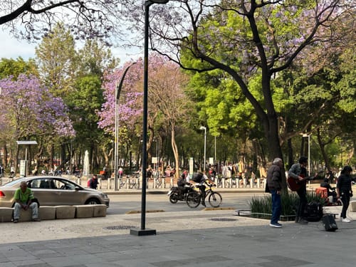 Customer's submitted image of a park scene. The compression socks are not pictured.