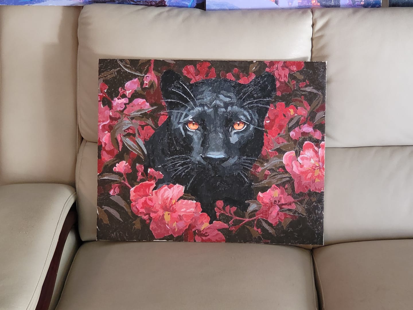 Customer photo review of Red Eyed Panther