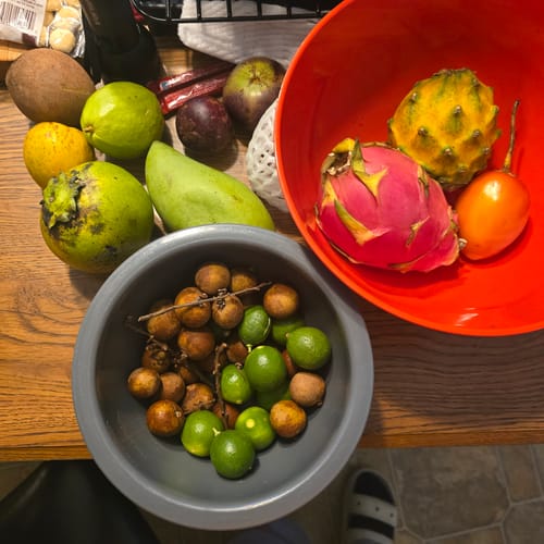 Customer photo review of Tropical Variety Box