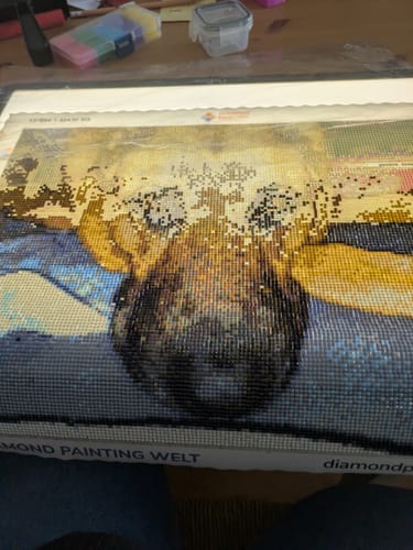 Kundenbewertung mit Foto zu Diamond Painting eigenes Bild