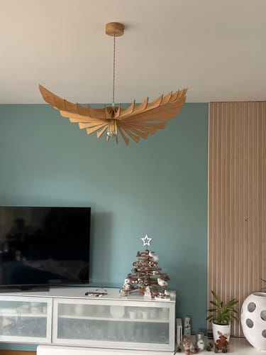 Customer photo review of Aigle teinté Chêne | Suspension