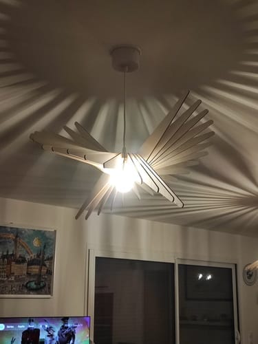 Customer photo review of Albatros teinté Chêne | Suspension