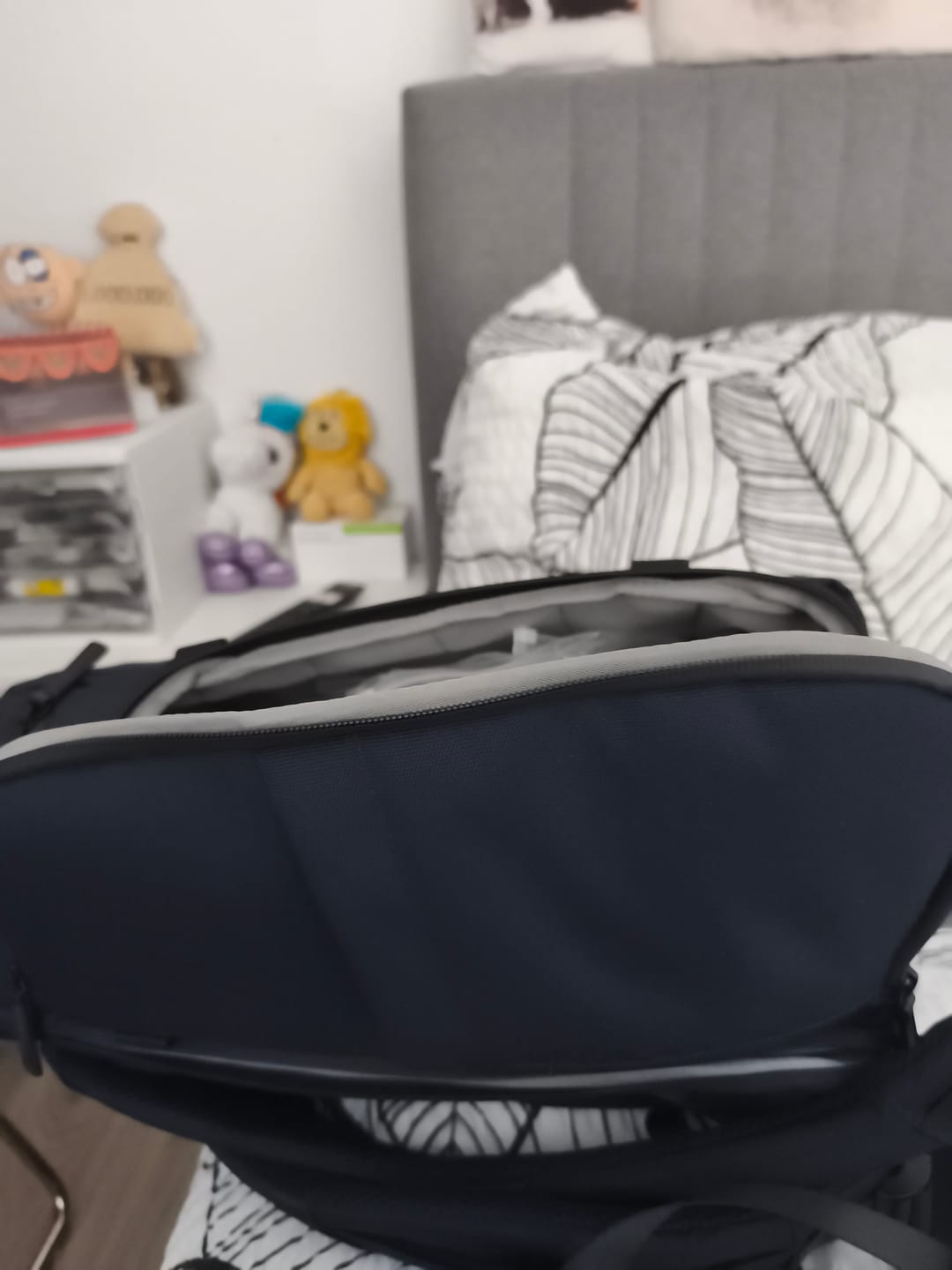 Customer photo review of The Organizer 20L