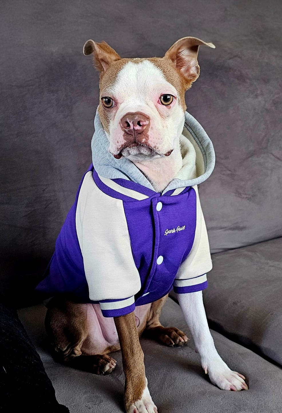 Customer photo review of Dog Varsity Jackets