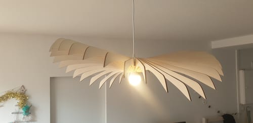 Customer photo review of Aigle teinté Chêne | Suspension