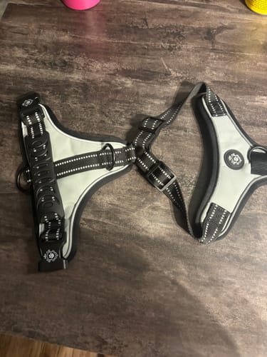 Customer photo review of Mystery Box - Dog PREMIUM ( New inventory )
