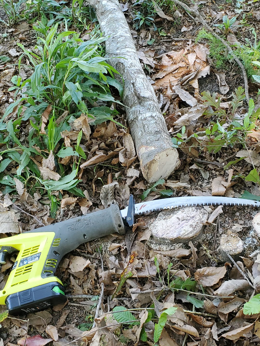 Customer photo review of Tree Trimming/Wood Cutting – Japanese Teeth Arc Edge 6 TPI Reciprocating Saw Blade