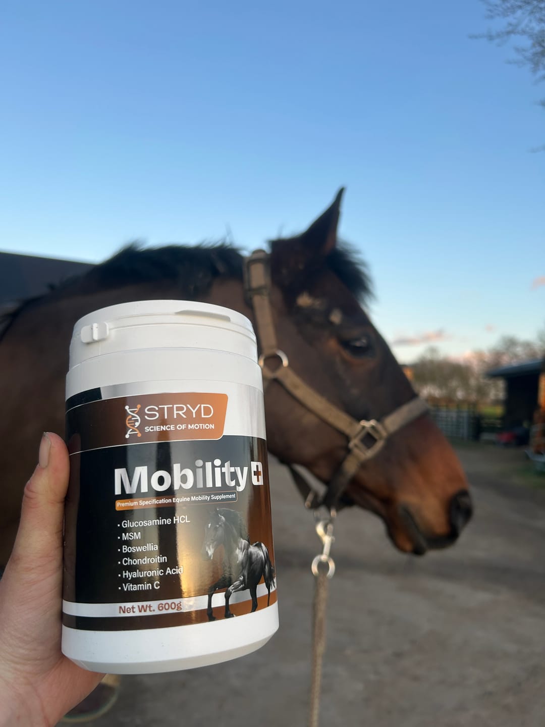 Customer photo review of MOBILITY+