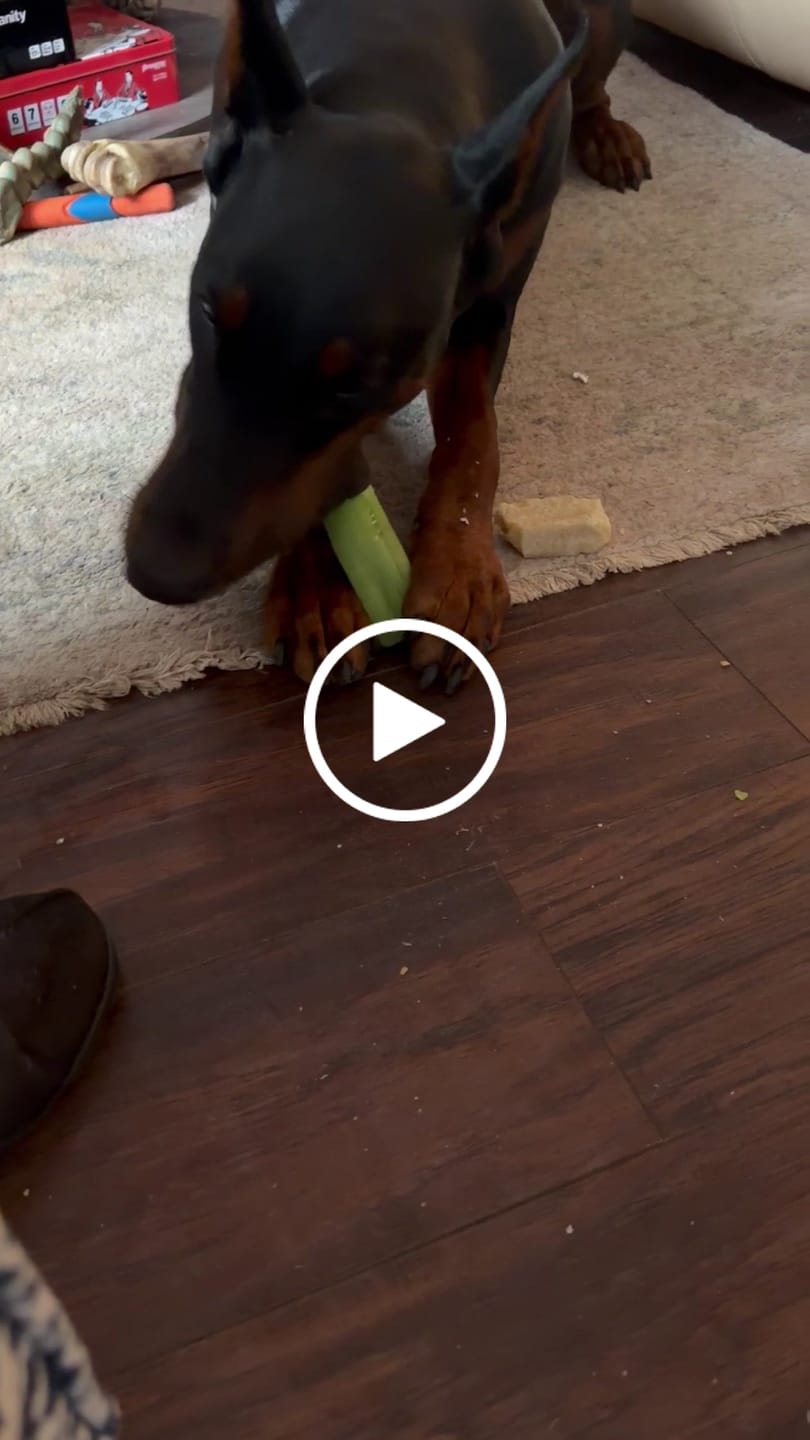 Customer video review of Coconut Yak Chews