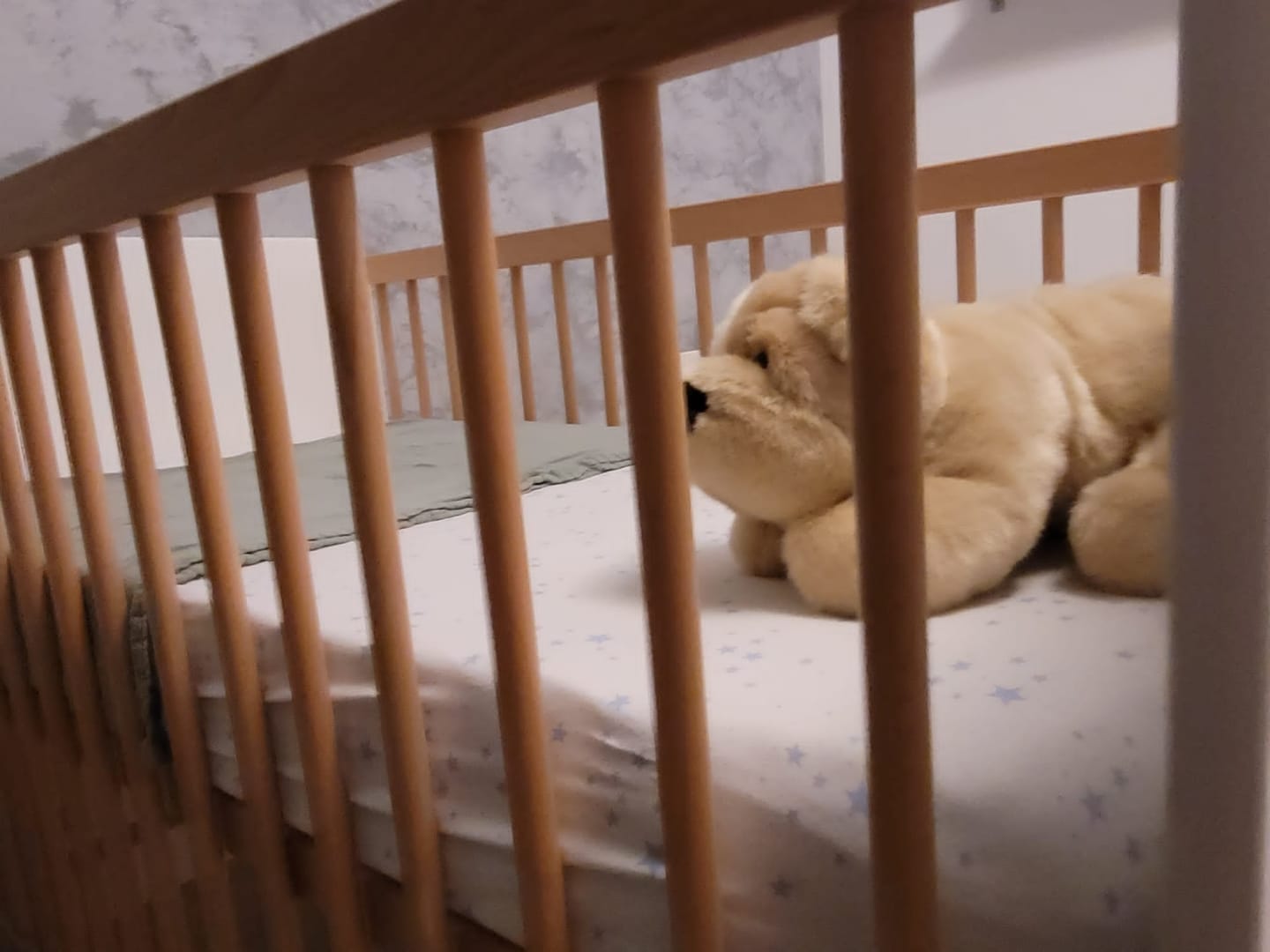 Customer photo review of Ma peluche Chien Hector