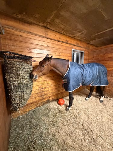 Customer photo review of Hay Chix® Buckle Safety Covers