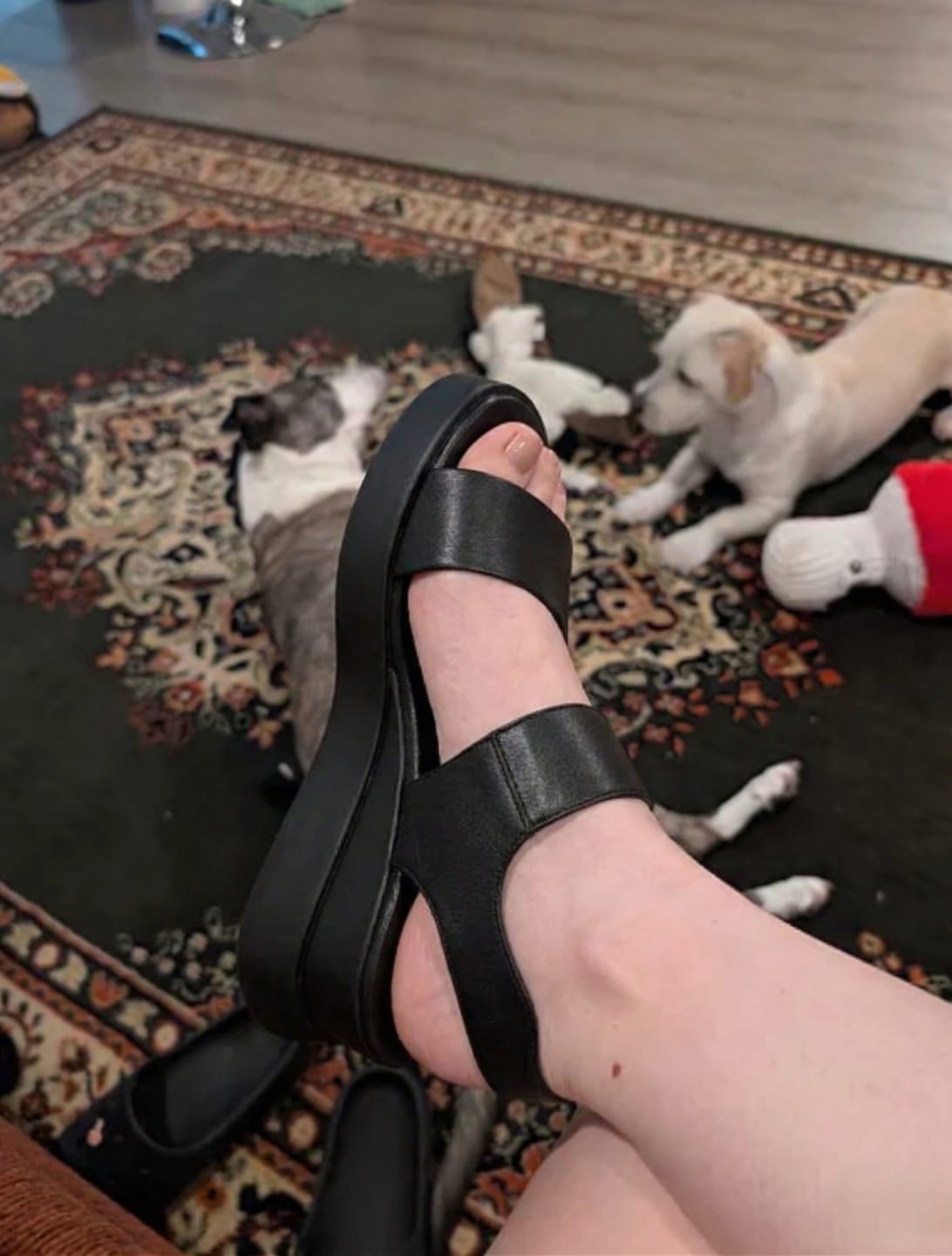 Customer photo review of Cample Platforms - Beige