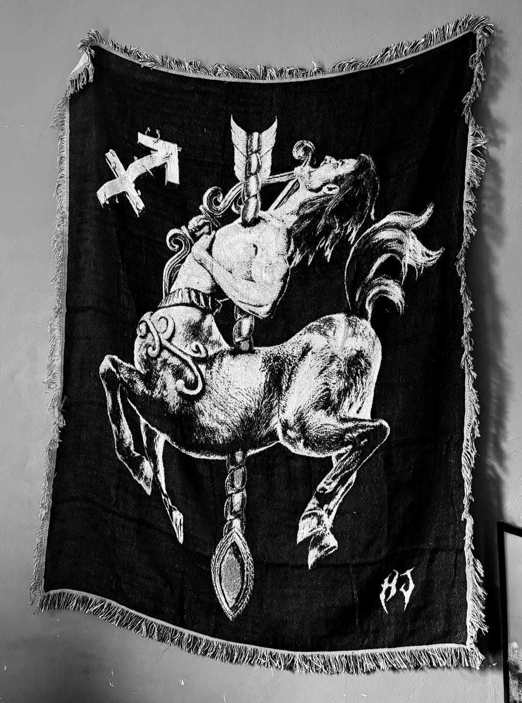 Customer photo review of ZODIAC TAPESTRY