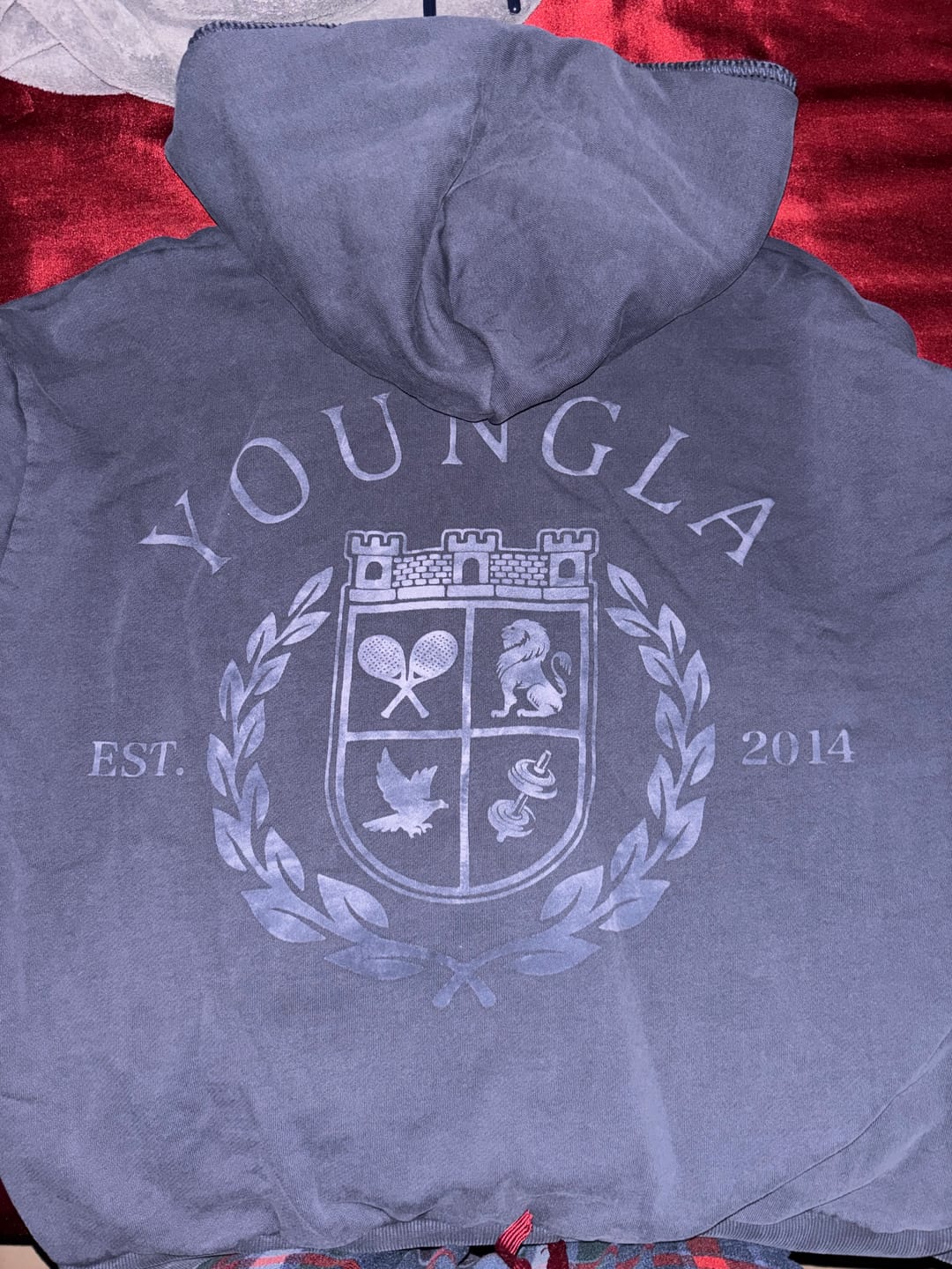 Customer photo review of 5169 - Old Money Quarter-Zip Hoodies