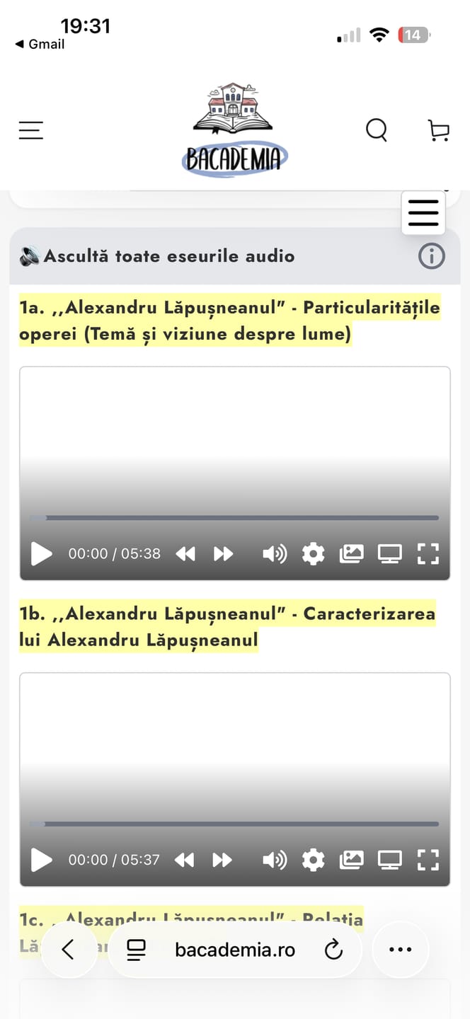 Customer photo review of Audiobook – Eseuri Audio BAC Română (temă și viziune, caracterizare, relație) + Quiz-uri