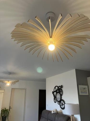 Customer photo review of Aigle teinté Chêne | Suspension