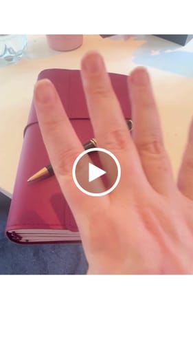Customer video review of Refillable Folio - SALTY PLUM TRIFOLD