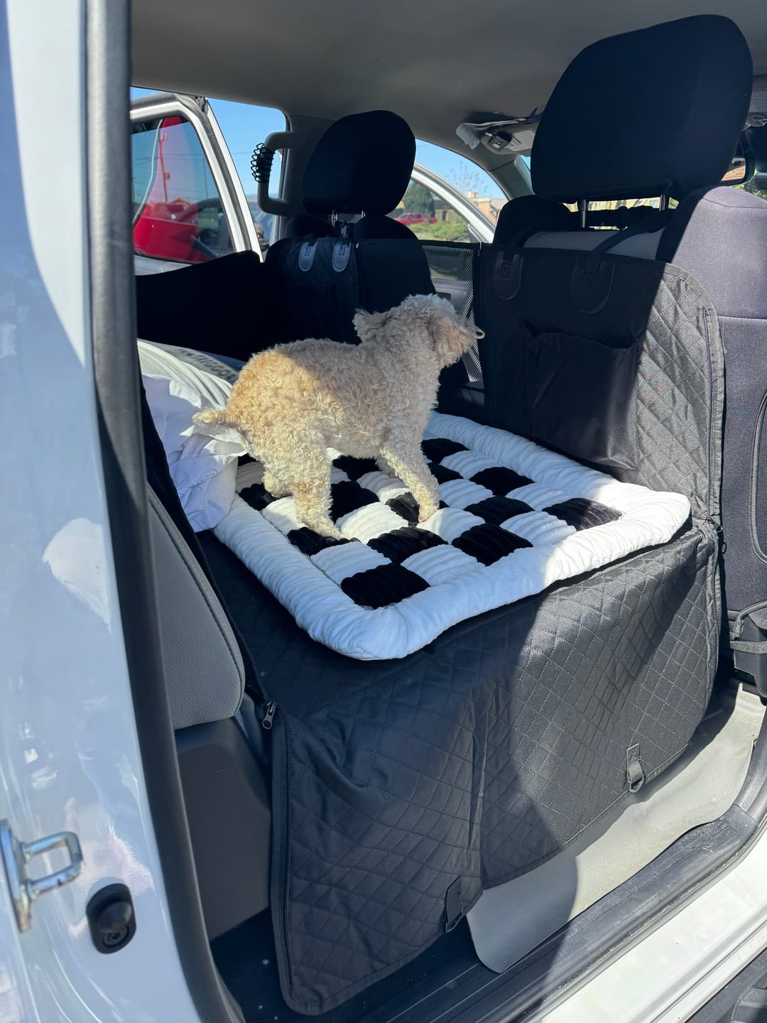 Customer photo review of NEW Waterproof Hard Bottom Car & Truck Seat Foldable Hammock Cover With Storage Pockets, Side Flaps, Headrest Straps, Seat Anchors, & Mesh Window (+FREE SAFETY BELT!)