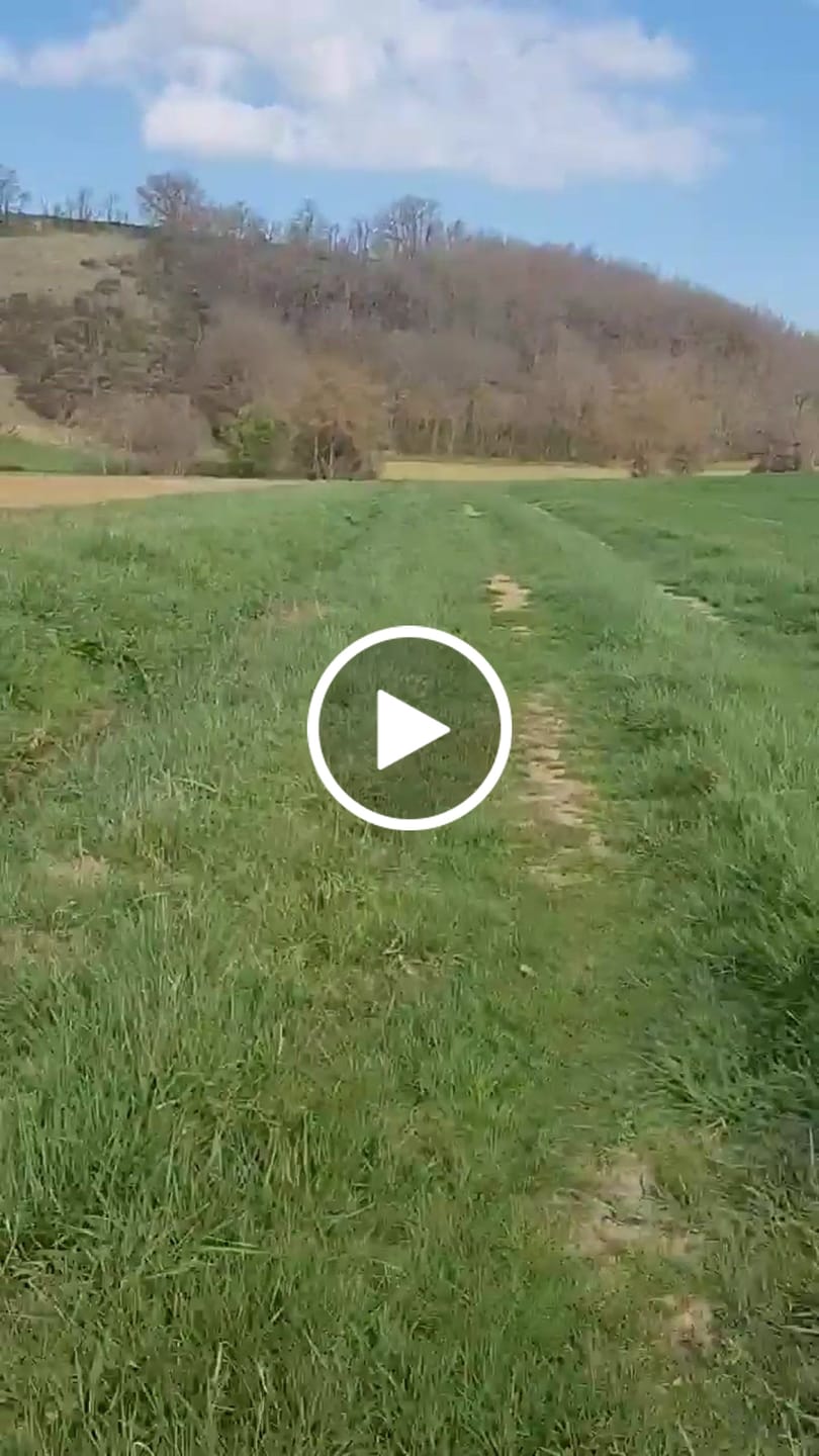 Customer video review of Maintien de Compression pour Chevilles V3
