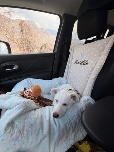 Customer photo review of Seggiolino Auto Cotone Panama Little Love Heart White