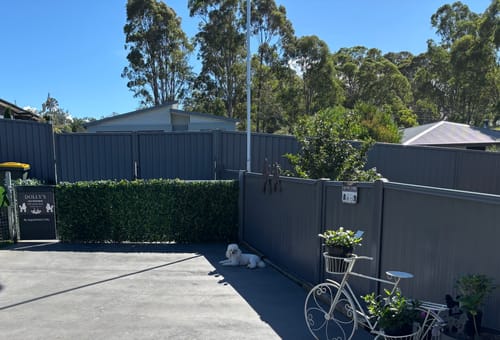 Customer photo review of Luxury Mixed Ivy Artificial Hedge Fence Panels / Fake Vertical Garden 1m x 1m UV Resistant