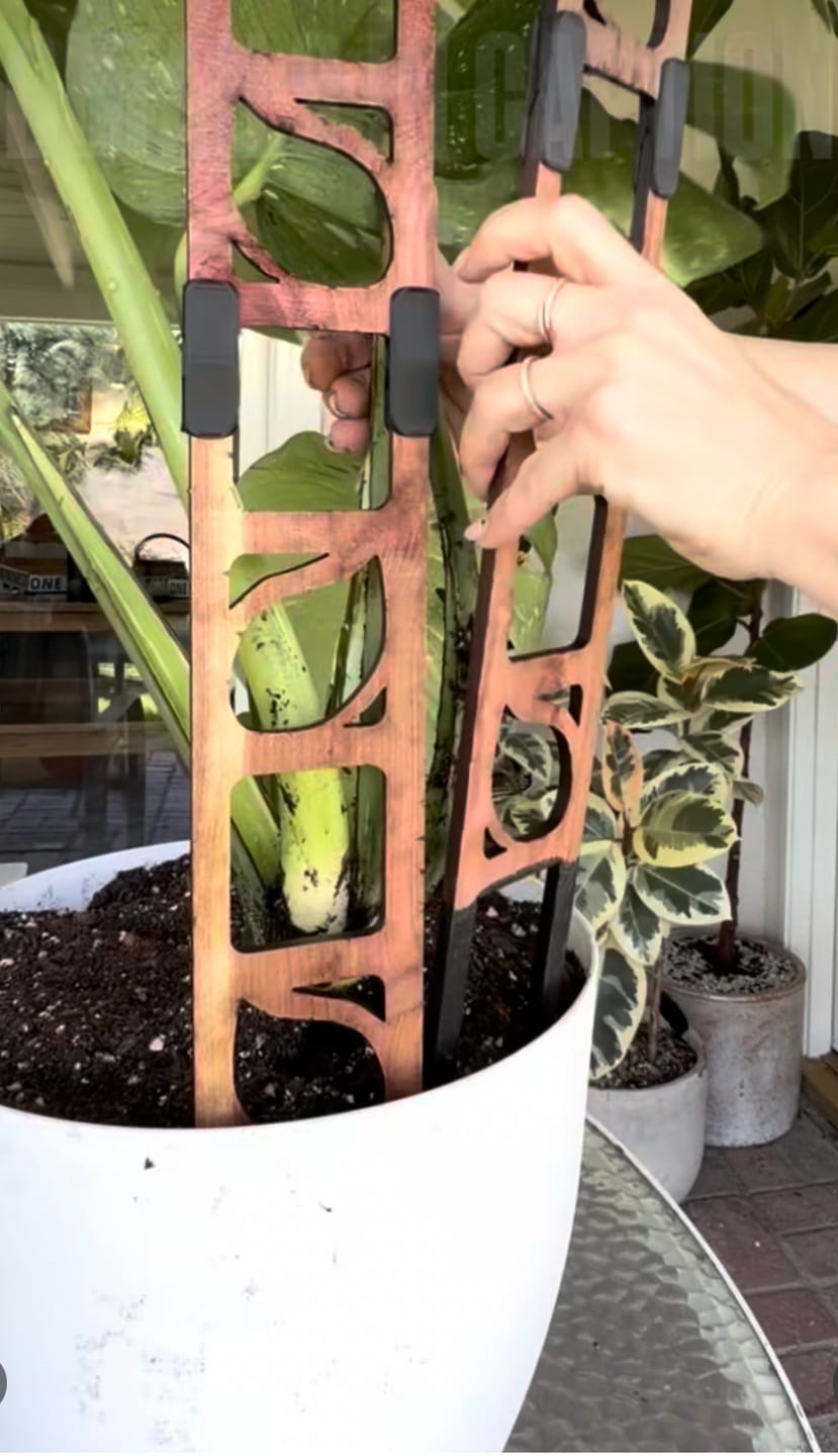 Customer photo review of Stella - Modular ladder support