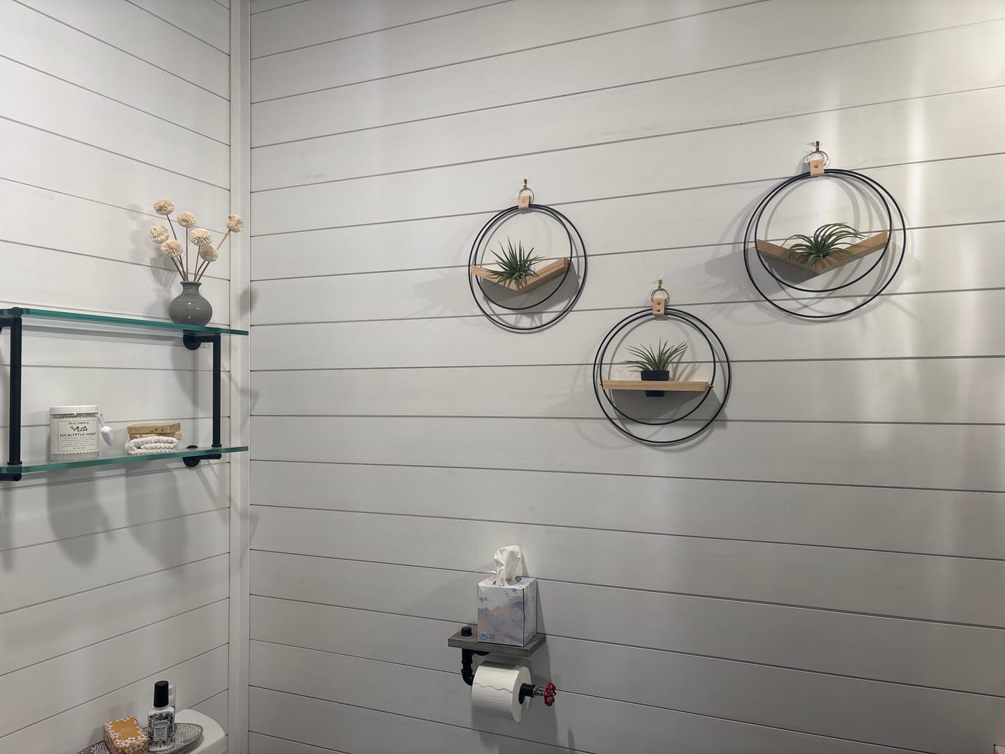 Customer photo review of Air Plant V-Hanger & Shelf Mixed Trio