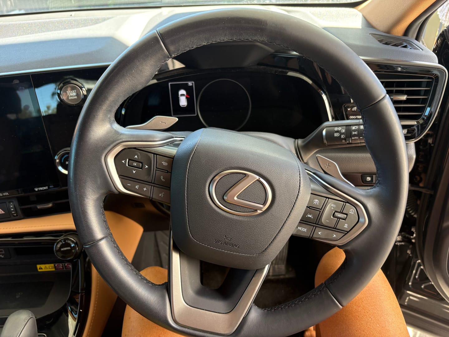 Customer photo review of Steering Wheel Reviver Kit