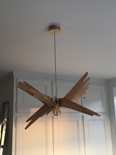 Customer photo review of Albatros teinté Chêne | Suspension