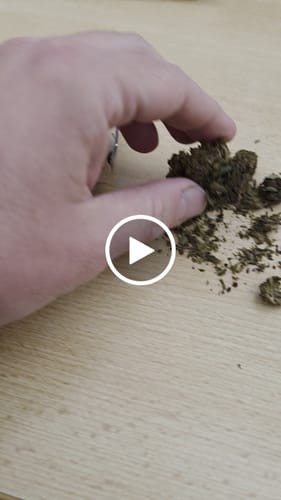 Customer video review of 🧞Purple Kinky Kush – Power Level 5/5