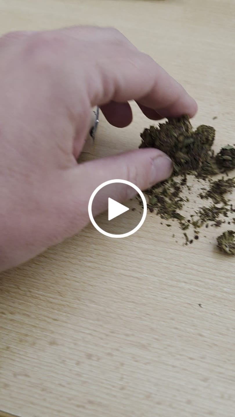 Customer video review of 🧞Purple Kinky Kush – Power Level 5/5